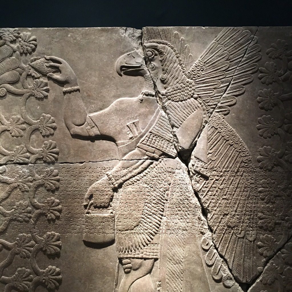 Both the bucket and the Pine could be clearly seen in the picture.