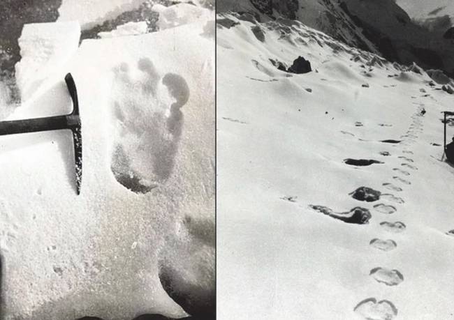 The Search For Bigfoot Like Creature Almas By Boris Porshnev In The USSR