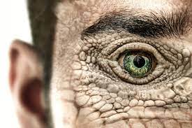 Are Shape-Shifting Reptilian Humanoids Infiltrating Earth? 6 Illustration of Shape-Shifting Reptilian humanoid eye