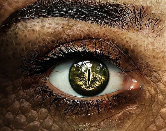 Are Shape-Shifting Reptilian Humanoids Infiltrating Earth? 4 Shape-Shifting Reptilian humanoids