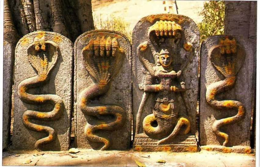 Sculptures of Nagas in Indian Temples