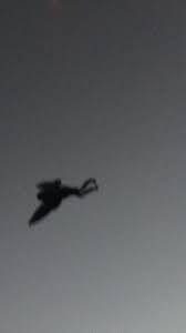 The Mysterious Winged Woman Encountered During The Vietnam War 1 The Mysterious Winged Woman Encountered During The Vietnam War