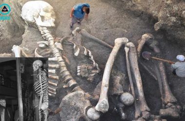 Discovery Of Bizarre Giant Skeletons In Ancient British Era