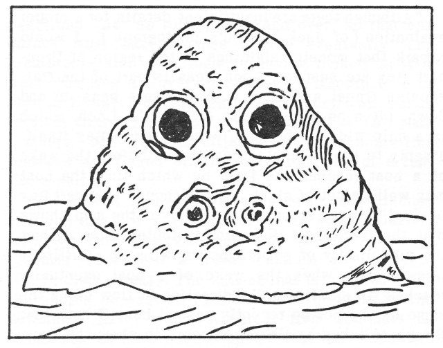 Kabagon - Encounter Of Japanese Sailors With A Sea Monster In 1971