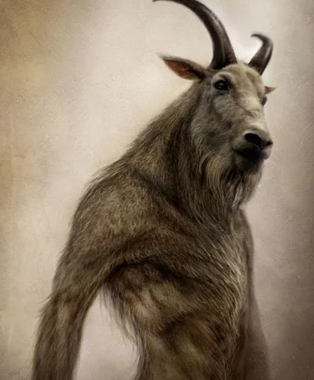 Legendary Monsters Of Texas That Terrorize The Place Till Now 2 The Goat Man
