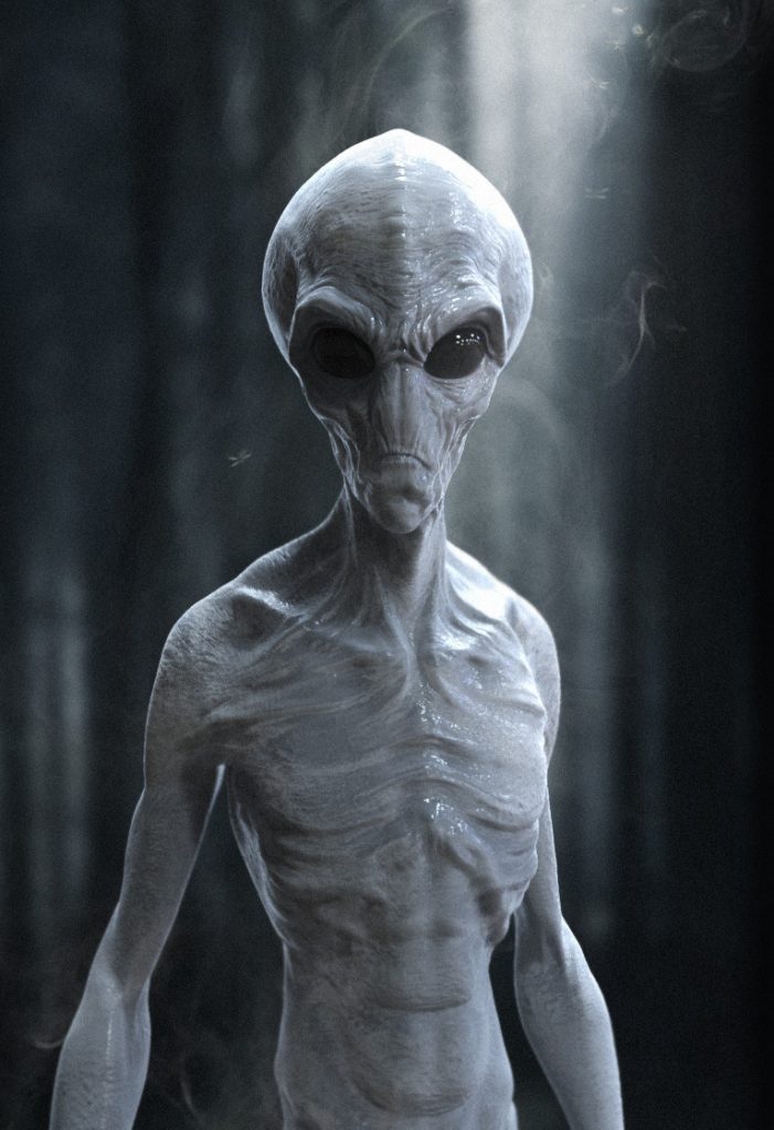 Grey Alien( Megan Liker )