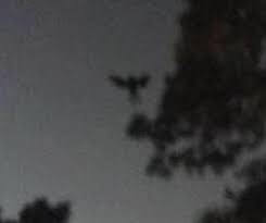 The Mysterious Winged Woman Encountered During The Vietnam War 2 The Mysterious Winged Woman Encountered During The Vietnam War