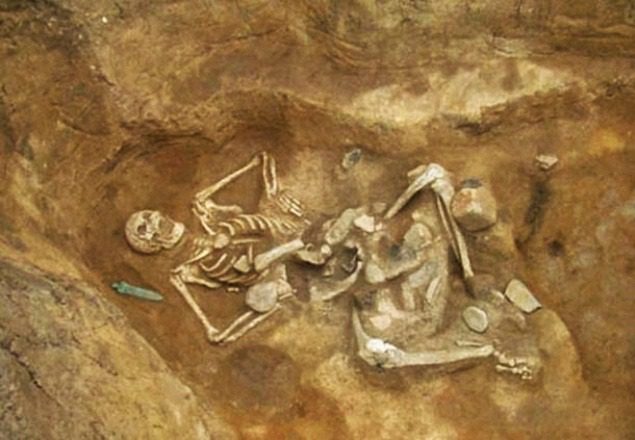 Giant skeleton nicknamed Goliath