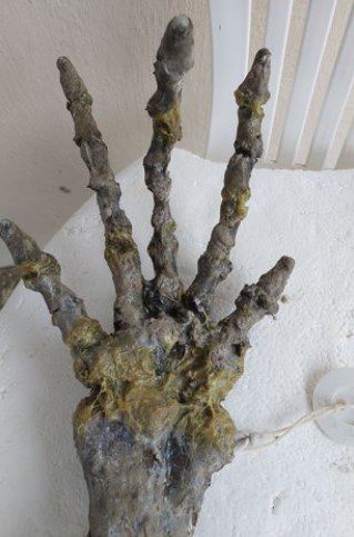 The image of the alien hand found on the beach 