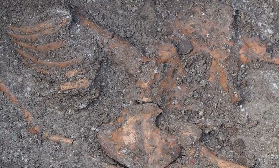 skeleton varna excavations 1
