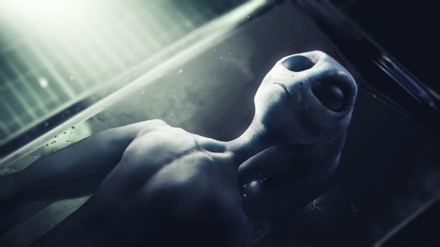 The 1955 Alien Encounter In Sweden - Extraterrestrial Message, Humanoid Alien, & A Beacon Device 2 The 1955 Alien Encounter In Sweden - Cigar-Shaped UFO, Humanoid Alien, & A Beacon Device