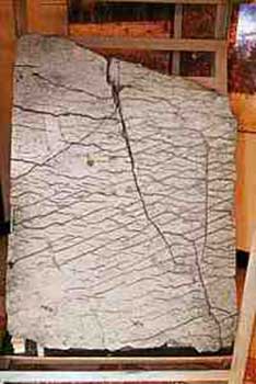 120 Million Old Dashka Stone Map: Cosmic Guidelines Used By The Gods 1 The Dasksha Stone