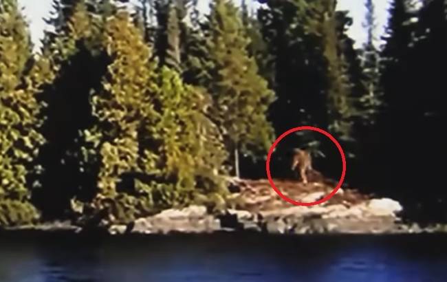 Bigfoot Filmed Striding Along The Shore In Northern Ontario 1 Yetiii