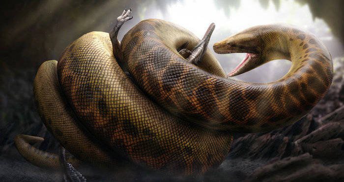 Illustration of Titanoboa