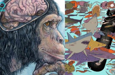 Human Animal Intelligence On Par With Human Intelligenced Aliens