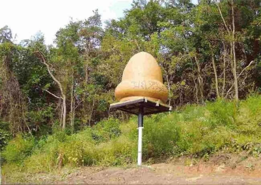 The Kecksburg UFO Crash of 1965: Was it a Cover-up or Extraterrestrial Encounter?