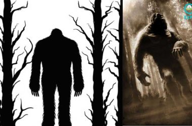 The Strange Encounter Of Charlie Victor With A Female Bigfoot Raising A Human Child