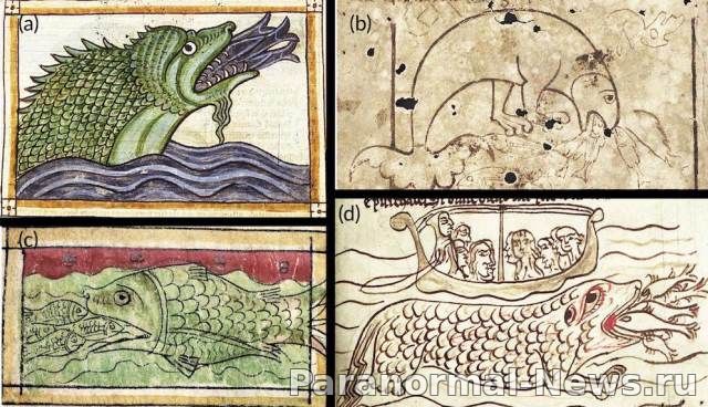 Hafgufa - The Gigantic Ancient Sea Monsters That Swallowed Whole Ships 3 Hafgufa - The Gigantic Ancient Sea Monsters That Swallowed Whole Ships