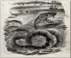 The Lake Seneca Monster - Creature Killed In New Yew York At The End Of 19th Century 3 The Lake Seneca Monster - Creature Killed In New Yew York At The End Of 19th Century
