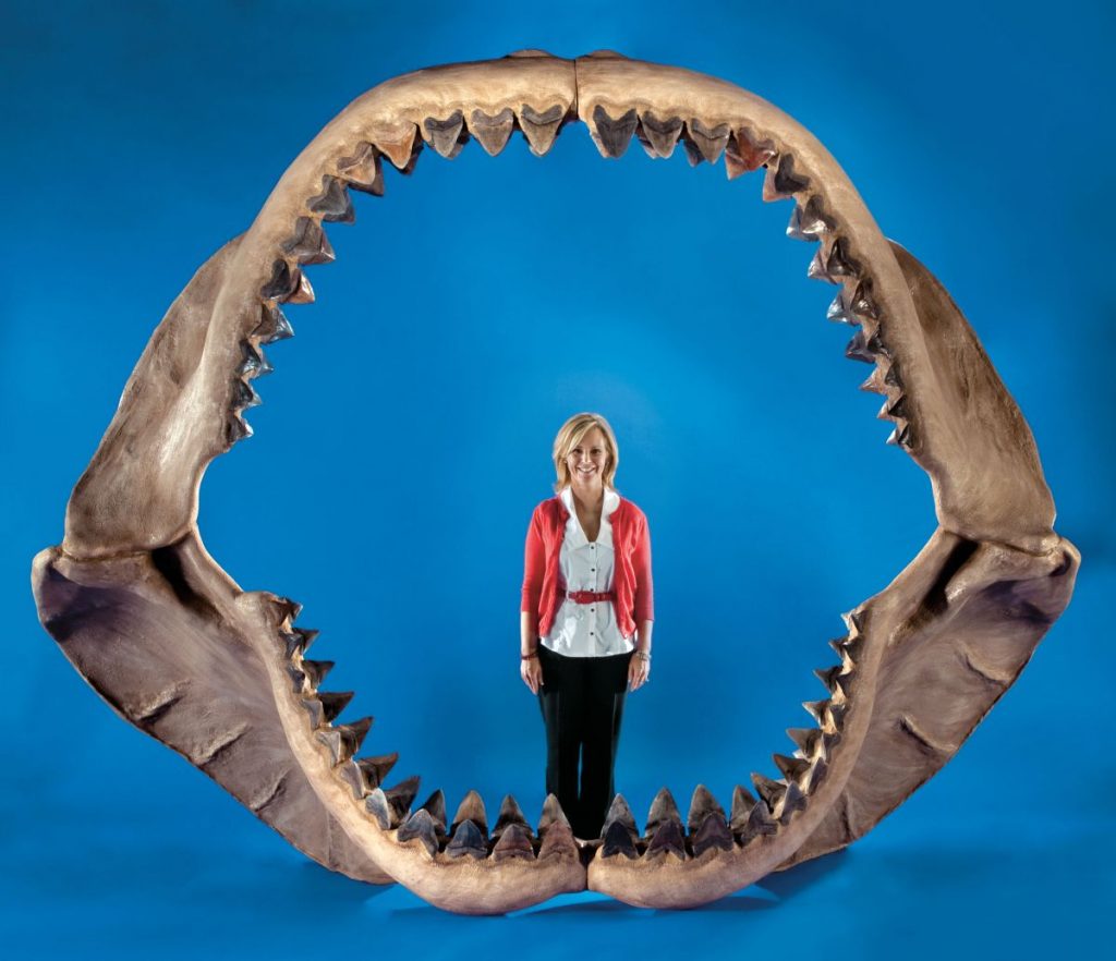 The Huge Megalodon Shark Might Still Be Swimming In The Depths Of Ocean