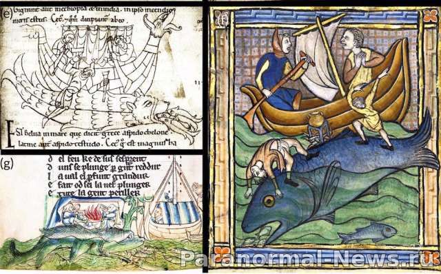Hafgufa - The Gigantic Ancient Sea Monsters That Swallowed Whole Ships 2 Hafgufa - The Gigantic Ancient Sea Monsters That Swallowed Whole Ships