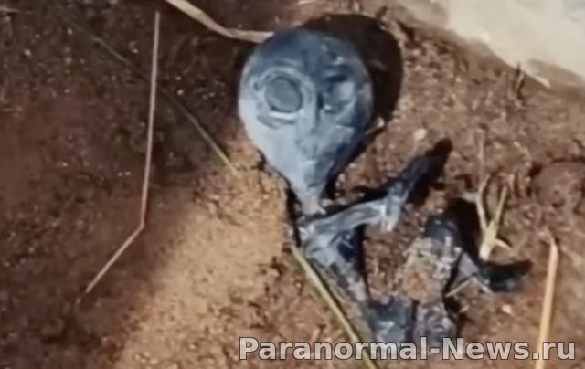 Tiny Alien Corpse Found In Bolivia After A Strange Green UFO And Creatures Were Spotted By Residents 2 Tiny Alien Corpse Found In Bolivia After A Strange Green UFO And Creatures Were Spotted By Residents