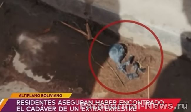 Tiny Alien Corpse Found In Bolivia After A Strange Green UFO And Creatures Were Spotted By Residents