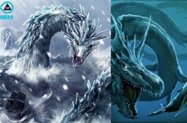 Antarctica Creatures