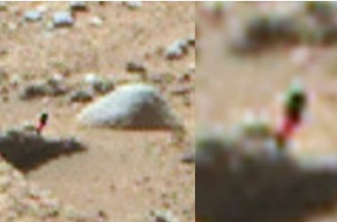 Object On Mars