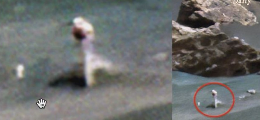 NASA Image Shows An Unusual Plant Like Object On Mars 3 NASA Image Shows An Unusual Plant Like Object On Mars