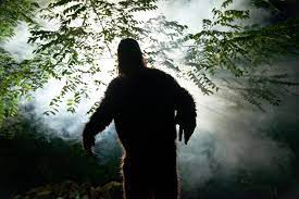 The Shocking Event That Baffled Witnesses: A Train's Crash With Bigfoot In 1880 1 Bigfoot hit by a train