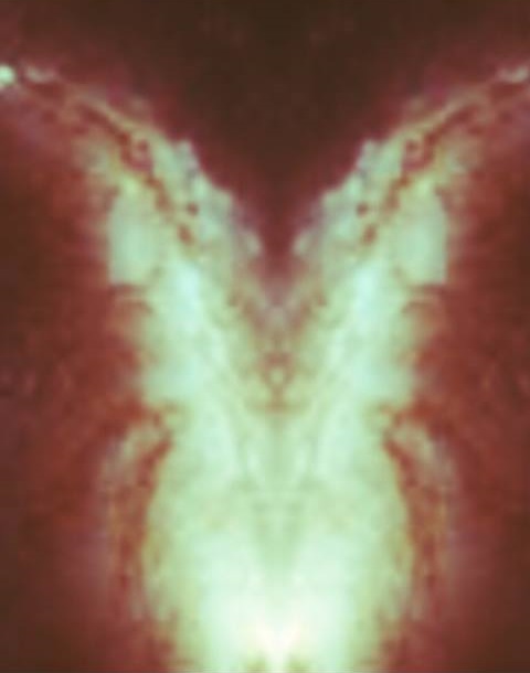 Energy Vision: A Mysterious Device Invented By Daniel Nemes To Capture Multi-Dimensional Beings 4 Multi-Dimensional beings captured by Daniel Nemes