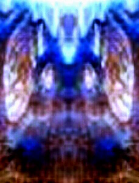 Energy Vision: A Mysterious Device Invented By Daniel Nemes To Capture Multi-Dimensional Beings 6 Multi-Dimensional beings captured by Daniel Nemes