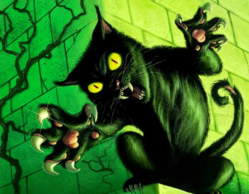 The Cat Curse Of Racing Club