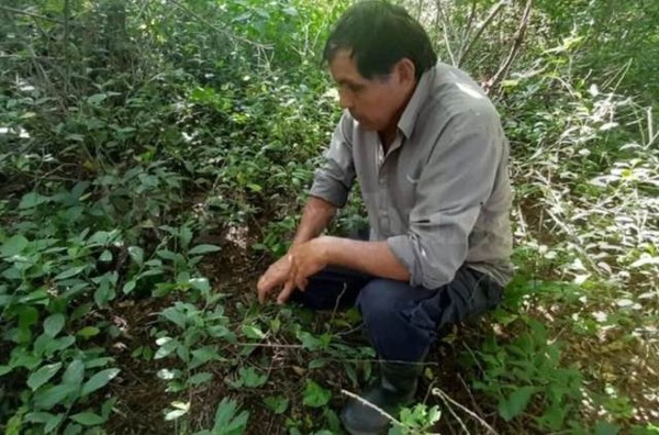The Ukumar: Argentine Farmer's Mysterious Encounter With A Yeti-like Creature 1 Farmer Pacheco Who Encountered An Ukumar