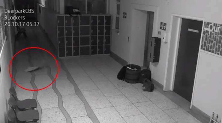 Deerpark CBS School Cameras Captured Frightening Paranormal Activity
