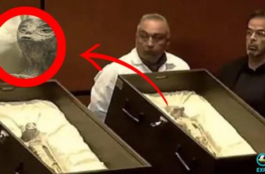 Alien Bodiies Revealed At Public UFO Hearing In Mexico