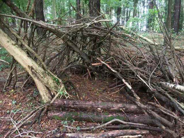 Yeti Footprints and Hut Found In Wales