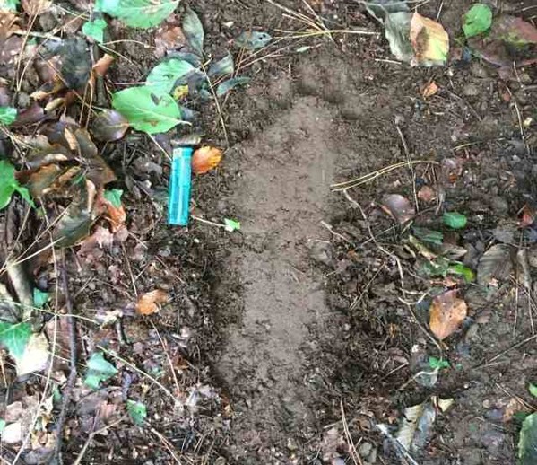 Alleged Yeti Footprints Found in Wales