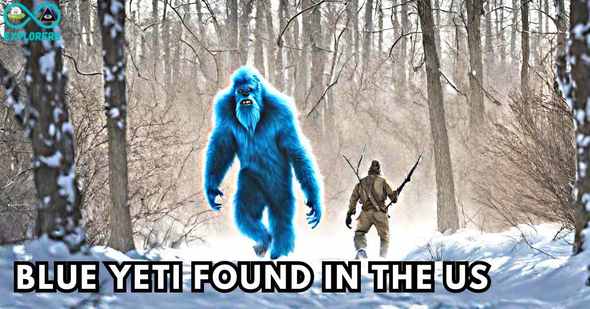 A Blue Yeti Was Tracked and Caught In The US