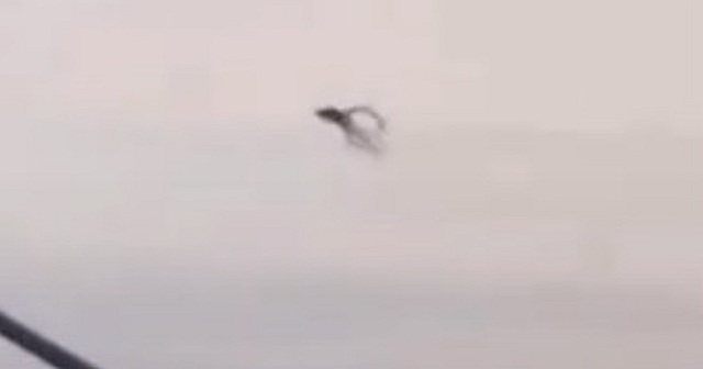 “Alien with Tentacles” Filmed in the Skies Over California 1 Squid Like UFO