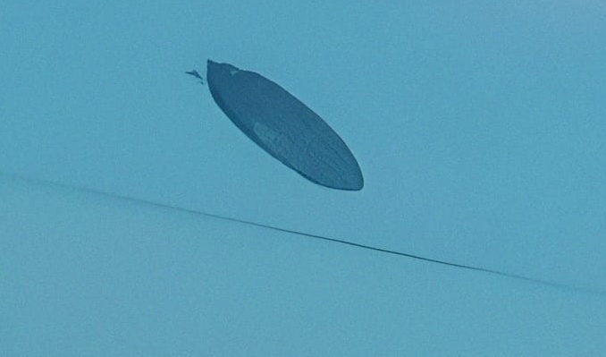 Argentina Resident Captured Clear Photos Of a UFO