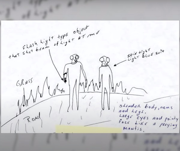 1987 Grasshopper Alien Encounter in Canadian Yukon Forest - Detailed Account