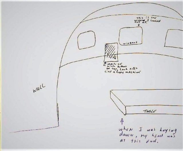 1987 Grasshopper Alien Encounter in Canadian Yukon Forest - Detailed Account