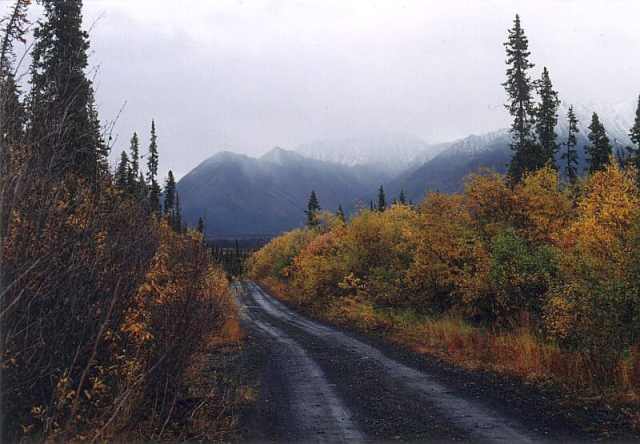 1987 Grasshopper Alien Encounter in Canadian Yukon Forest - Detailed Account