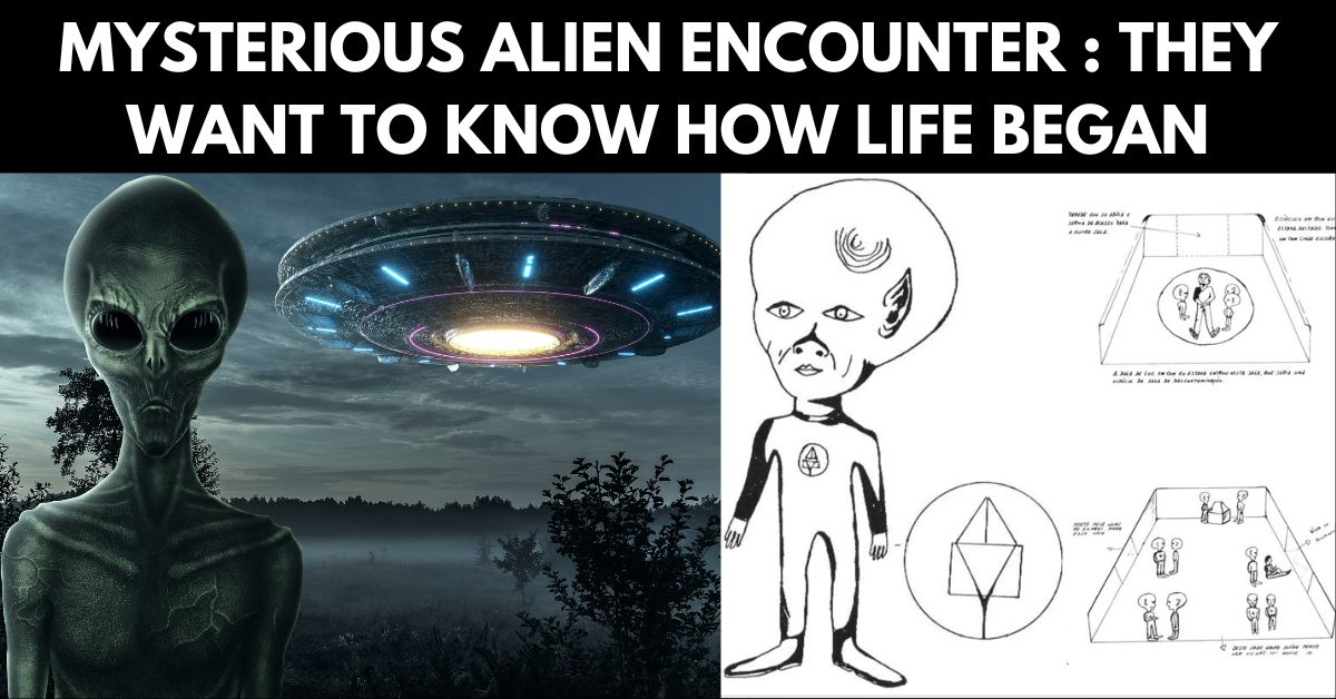 The Mysterious UFO Abduction of Paulo Coutinho in Brazil