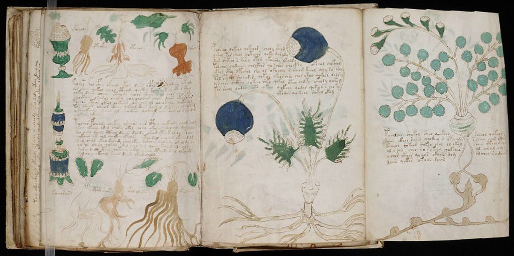 7 Unsolved Mysteries That Have Baffled Scientists and Investigators for Decades 2 The Voynich Manuscript – The Unbreakable Code
